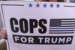 Sign-Waving4